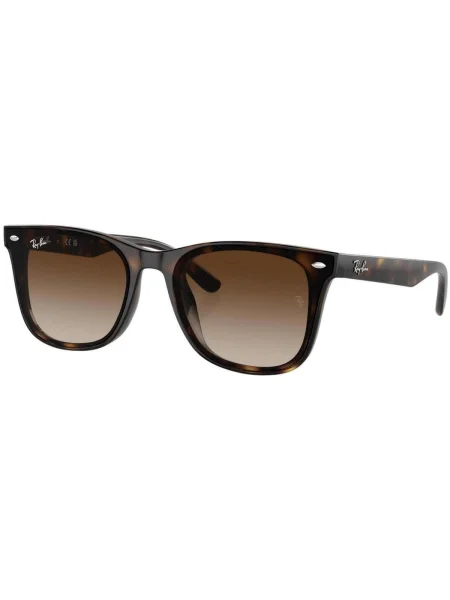 Ceas Ray-ban maro