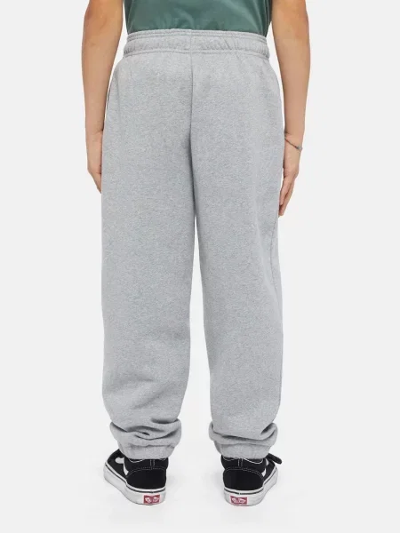 Дитячі Джогери Dickies Mapleton сірий