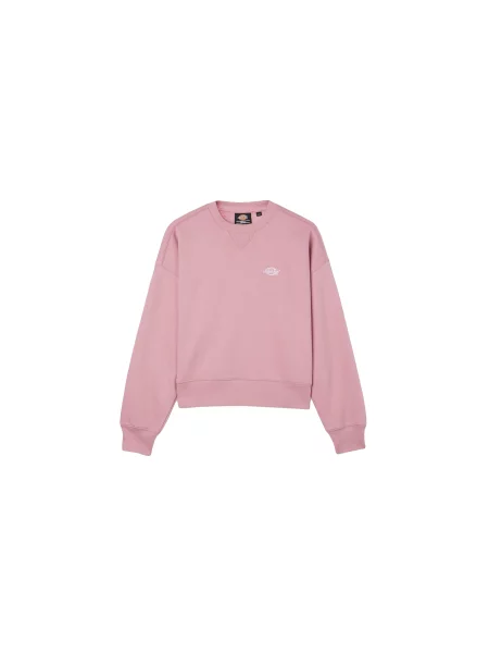 Dickies Summerdale Sweatshirt Kobiety Bluzy i bluzy z kapturem Dickies Size: M różowy