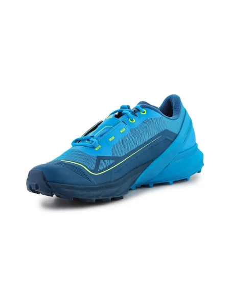 Pantofi Dynafit albastru