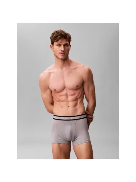Chiloți Calvin Klein Jeans gri