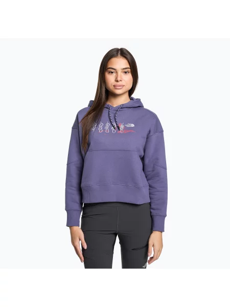 Mikina The North Face Outdoor Graphic Hoodie cave blue modrá