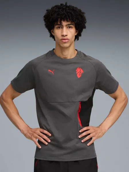 Футболка Puma серая