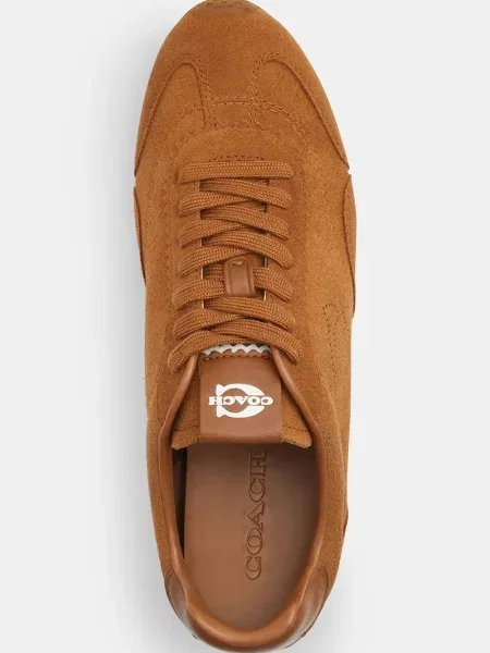Замшеві кросівки Coach Flat Sneaker коричневий