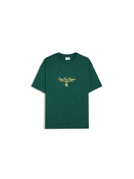 Bershka Tricou / verde pin galben