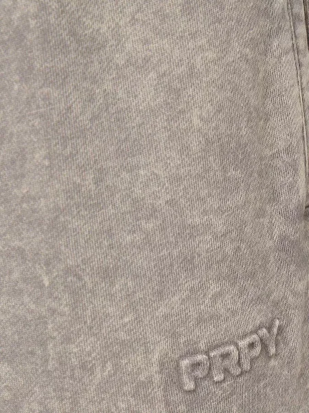 Спортивні штани PRPY сірий