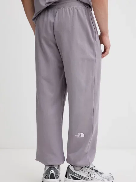 Спортивные штаны The North Face