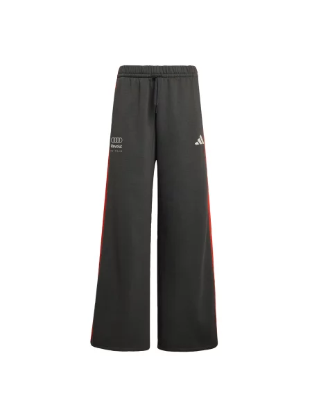 ADIDAS PERFORMANCE Sportovní kalhoty Audi Formula One Team DNA tmavě šedá / humrová bílá