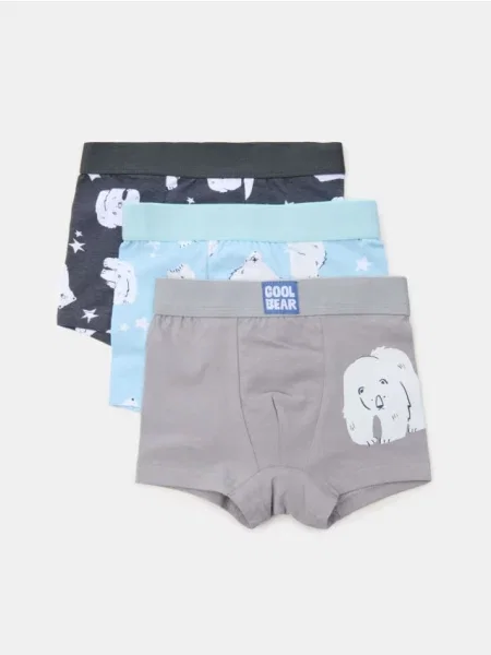 Sinsay boxerky s potiskem 3 pack vícebarevná