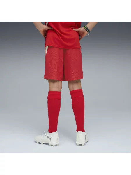 PUMA Młodzieżowe szorty reprezentacji Szwajcarii Odzież czerwony