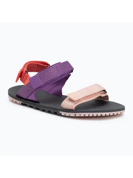 Barefoot sandály Xero Shoes D-Trail devberry / multi