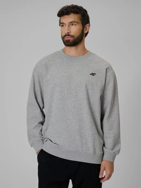 Bluza dresowa regular bez kaptura 4F szara