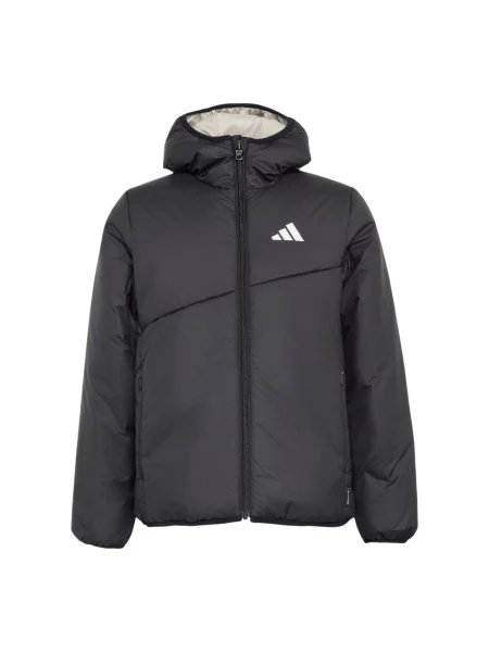 ADIDAS TERREX Geacă outdoor negru