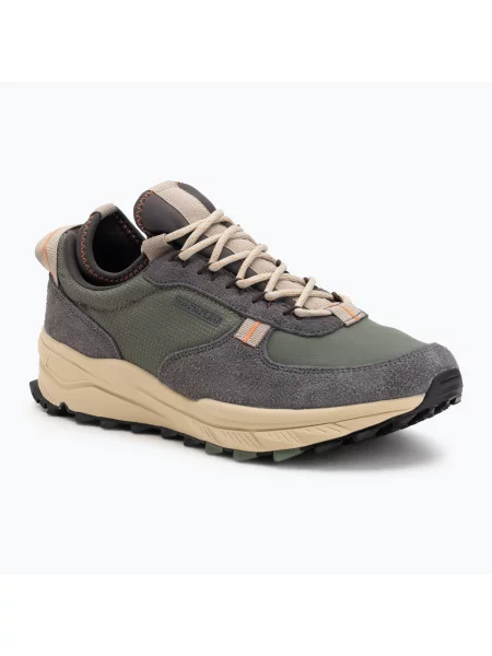 Кросівки Napapijri Vortec grey/green сірі