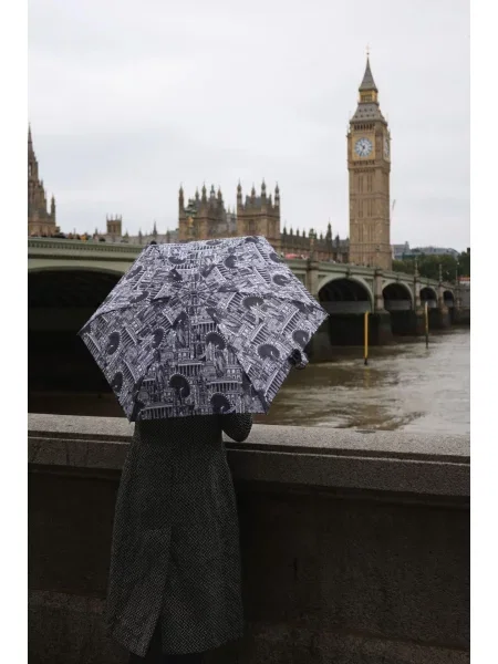 Fulton Umbrellas Парасольки чорний