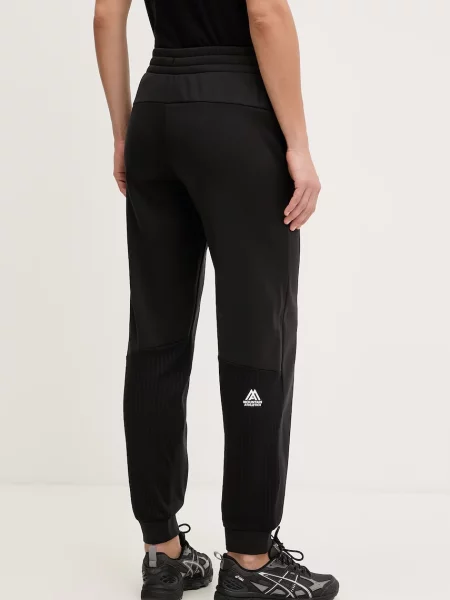 Спортивные штаны The North Face