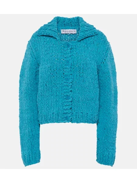 Cardigan Jw Anderson albastru