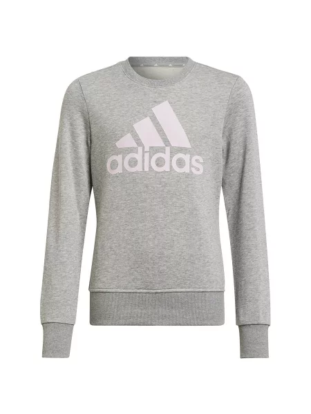 Adidas Bluza młodzieżowa Big Logo SWT cm szara