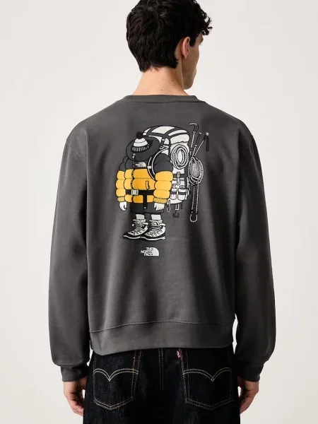 The North Face hanorac pentru bărbați cu Gear up Relaxed gri