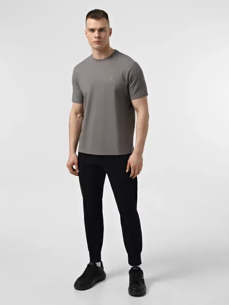 Футболка Emporio Armani серая