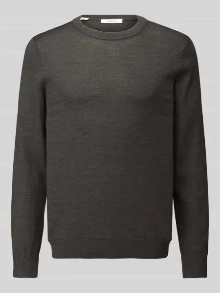 Sweter o kroju regular fit z czystej wełny model TRAY' Selected
