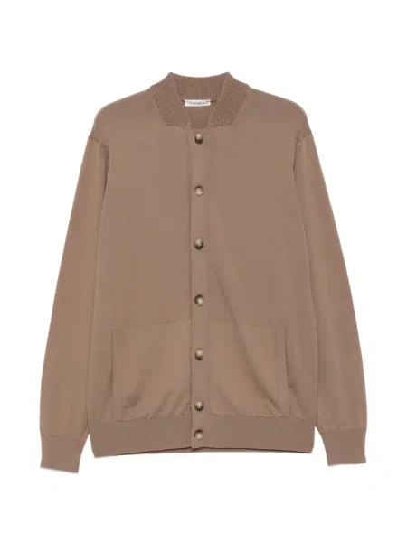 Cardigan Kangra maro