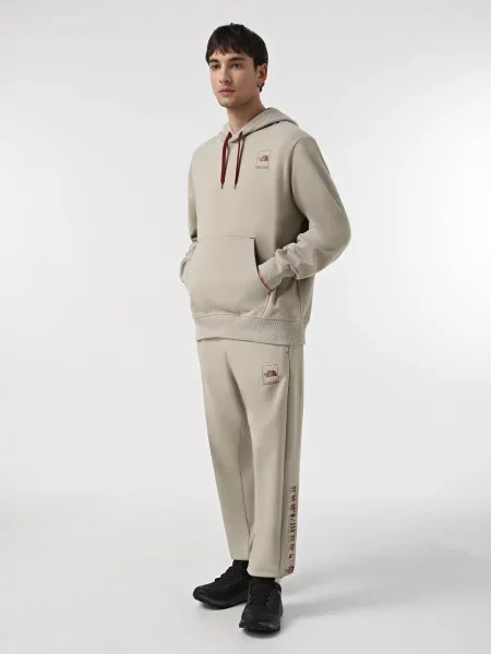 Худі The North Face Coordinates сірий