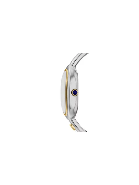 FOSSIL Analógové hodinky zlatá / strieborná