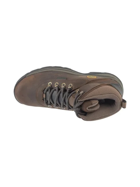 Pantofi Timberland