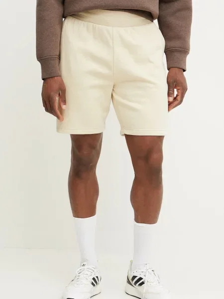 Kratke hlače The North Face Easy Regular bež