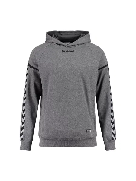 Bluza z kapturem z Hummel hmlAUTHENTIC Charge szara