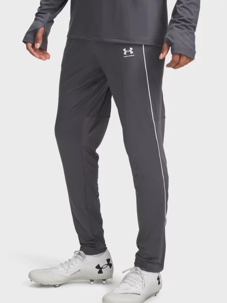 Штани Under Armour сірі