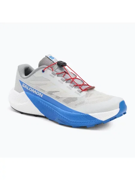 Încălțăminte de alergare pentru bărbați Salomon Pulsar lunar rock/white/french blue alb