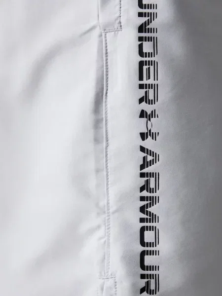 Спортивные шорты Under Armour