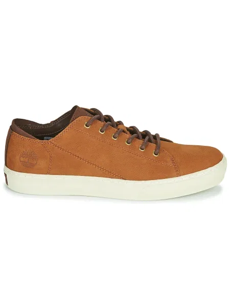 Tenisky Timberland hnedá
