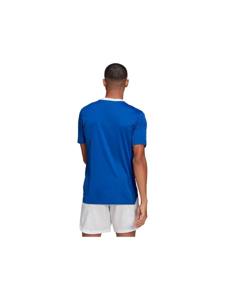 Majica Adidas plava