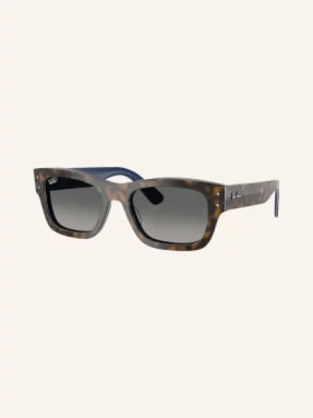 Hodinky & Bižuterie Ray-ban Joseph Unisex černé