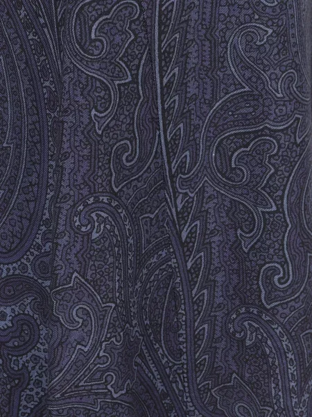 Fustă Etro cu imagine cu model paisley albastru