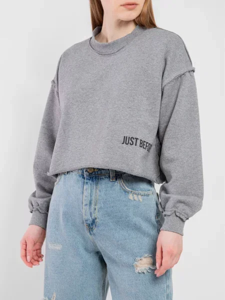 Світшот Just Before сірий