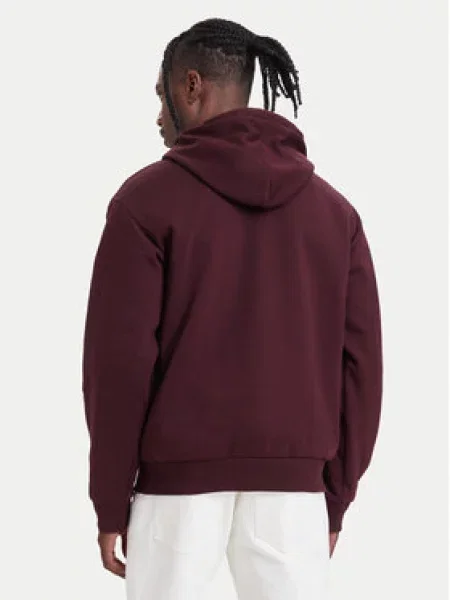 Mikina Lacoste Hoodies Oxalis 6 hnědá