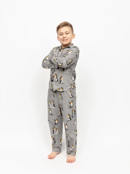 Дитяча Піжама CYBERJAMMIES Parker бавовна/модал сірий