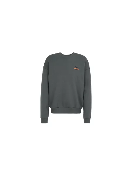 Sweter Iriedaily z kapturem szary