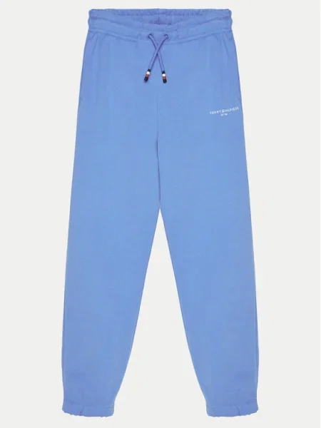 Tommy Hilfiger Pantaloni trening albastru