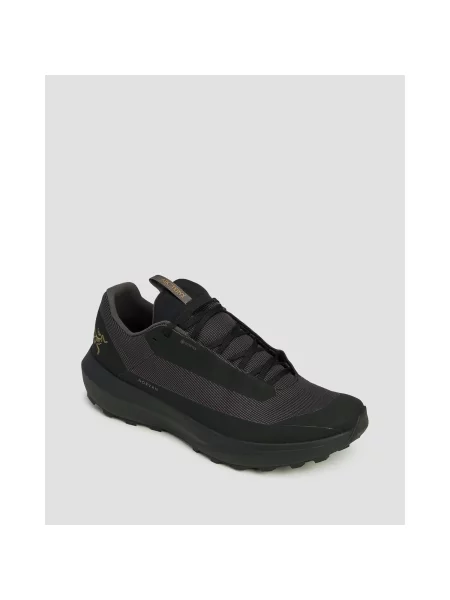 Pánske Topánky Trail Running Arcteryx Norvan Ld 4 Gtx čierna