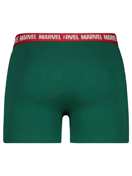 Boxerky Licensed zelená