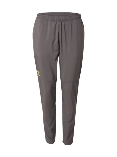 Hummel Pantaloni sport Sprint metalic gri