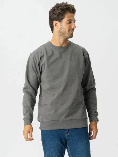 TEESHOPPEN Pulover Sweatshirt închis gri