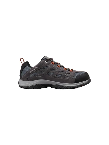 Pantofi Columbia gri