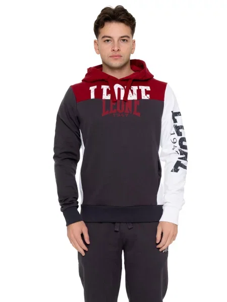 Zimowa bluza z kapturem i dużym logo Leone Color Block szara