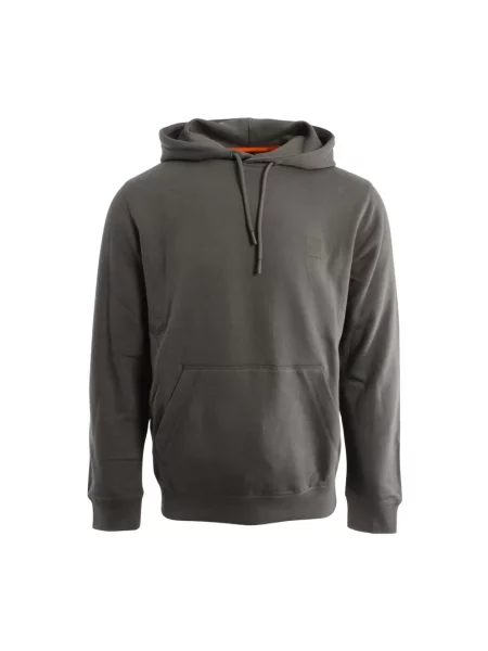 Bluza z kapturem Hugo szara